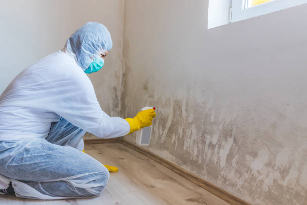 Hvac And Air Duct Mold Remediation inspection of HVAC system in Atlantic Highlands